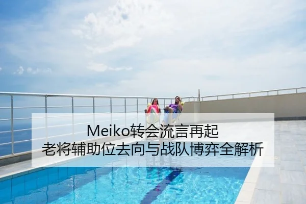 Meiko转会流言再起 老将辅助位去向与战队博弈全解析