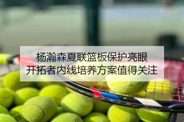 杨瀚森夏联篮板保护亮眼 开拓者内线培养方案值得关注