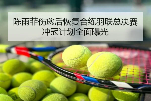 陈雨菲伤愈后恢复合练羽联总决赛冲冠计划全面曝光